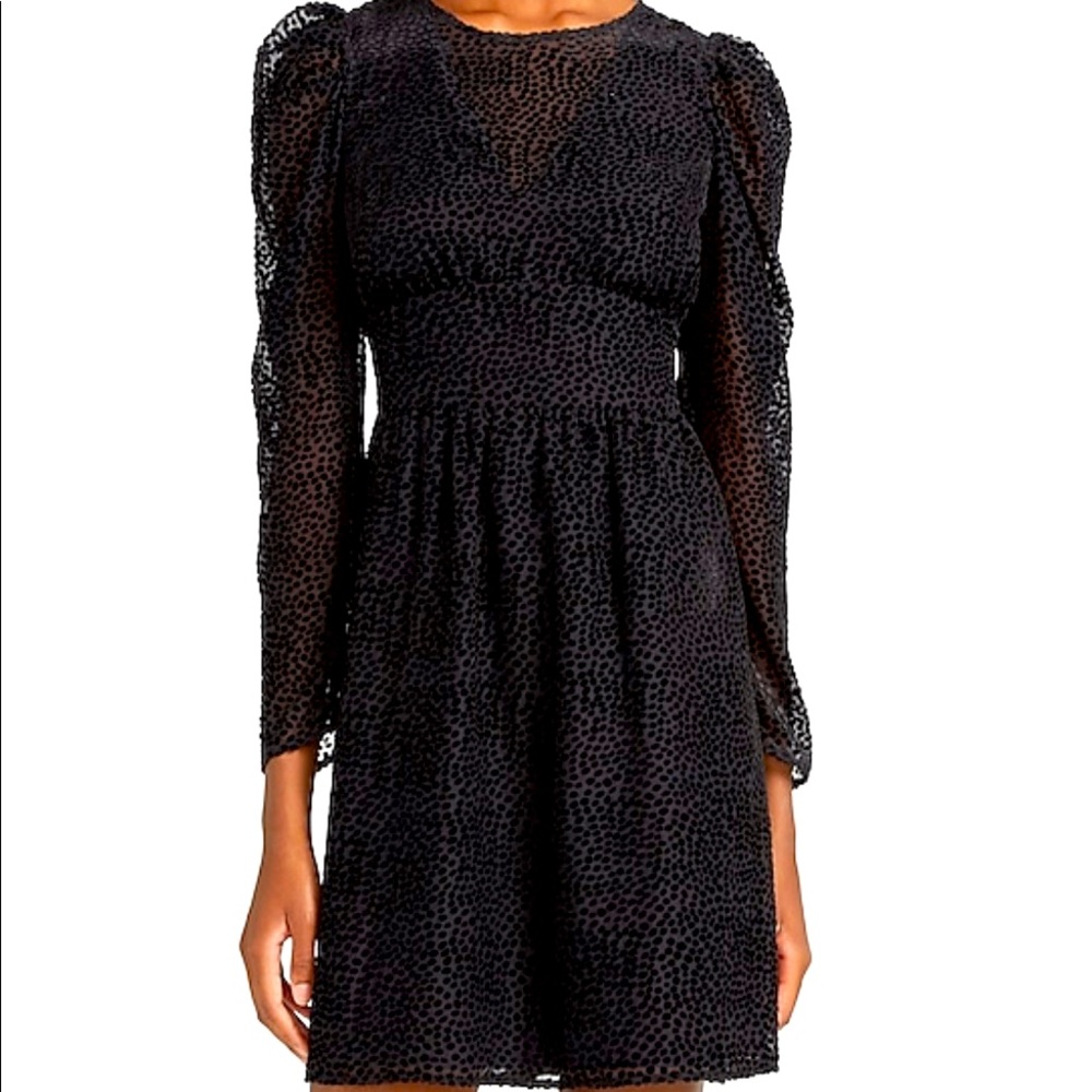 Express puff sleeve velvet dress, adorable